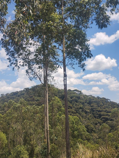 Sítio à Venda em Melgacinho – Domingos Martins/ES por R$ 1.350.000,00