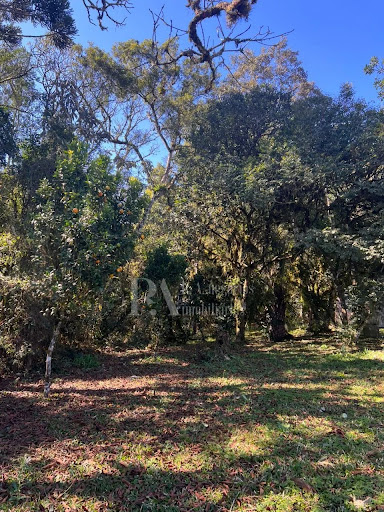 Terreno Amplo – Bairro Lençol, São Bento do Sul, SC