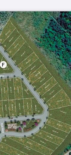Terreno à venda com 1000m² de terreno no Nova Cabrália, Santa Cruz Cabrália (BA) — foto 5 de 21