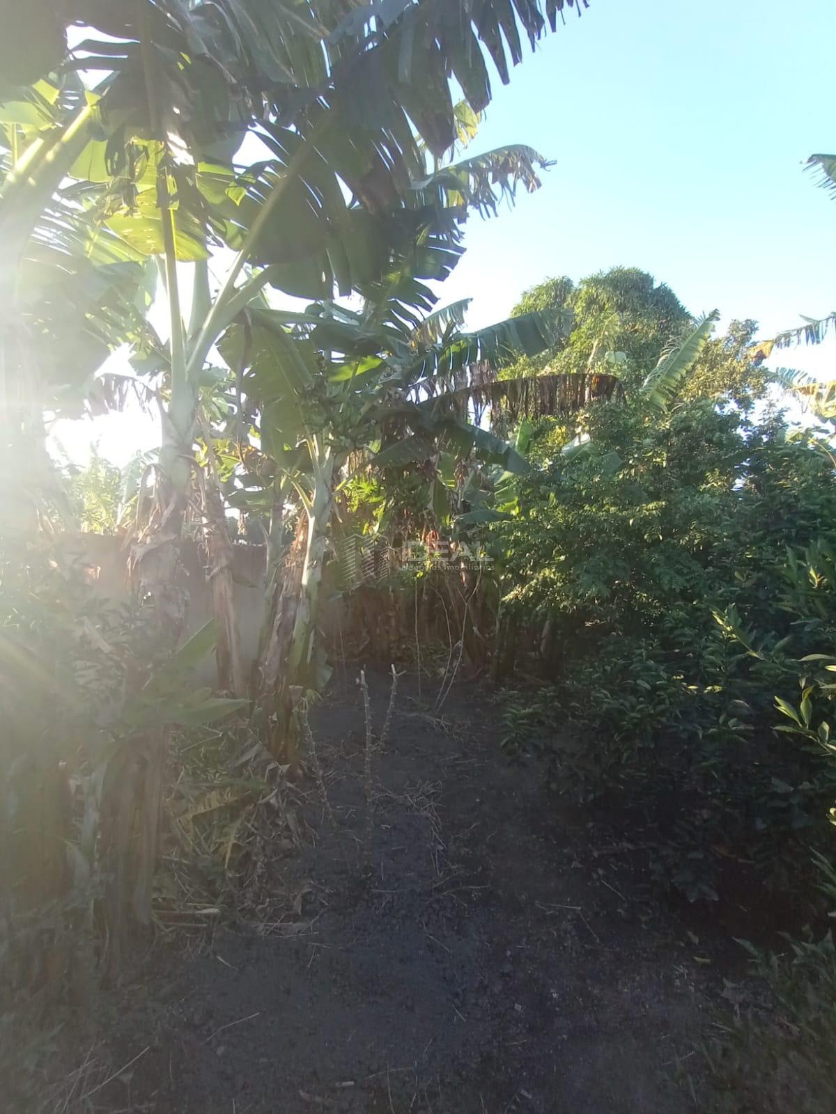 Casa à venda com 3 quartos, 2 banheiros, 4 vagas e 150m² no Tocos, Campos dos Goytacazes (RJ) — foto 7 de 30