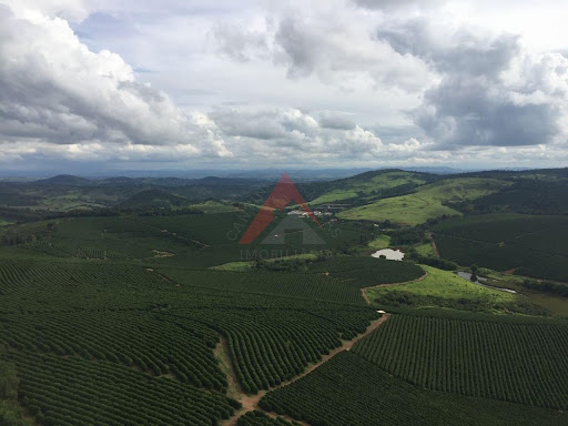 Fazenda em São carlos  -  São Carlos