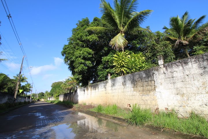 Casa à venda com 10000m² no Guabiraba, Recife (PE) — foto 23 de 23