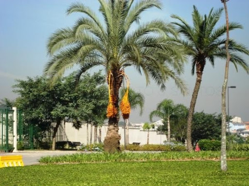 Condominio