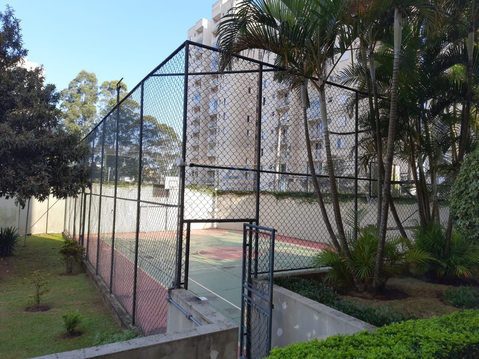 Apartamento à venda com 2 quartos, 1 banheiro, 1 vaga e 50m² no Jardim Celeste, São Paulo (SP) — foto 12 de 18