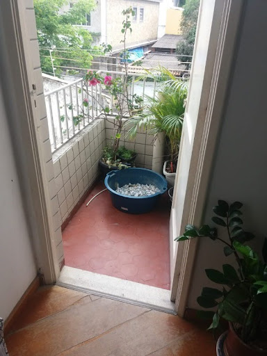 Foto 07