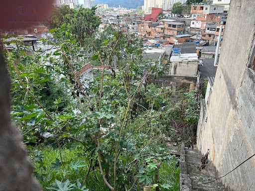 Outra vista