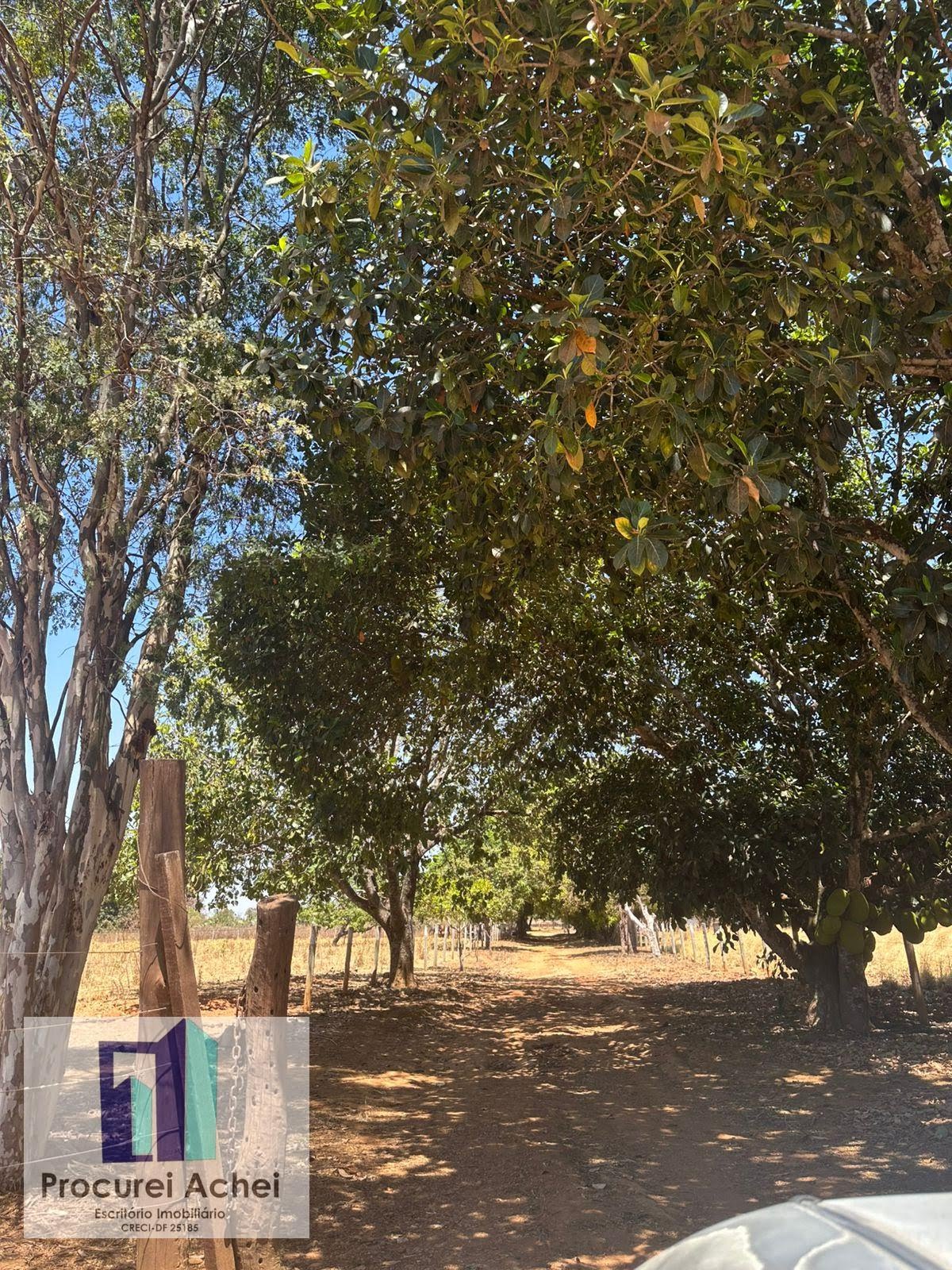 Rural à venda com 40000m² de terreno no Núcleo Rural Rajadinha, Brasilia - Df, Brasília (DF) — foto 12 de 23