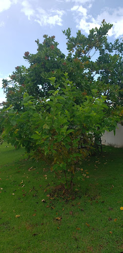 Casa em Condomínio Rio São Lourenço - Cuiabá, MT