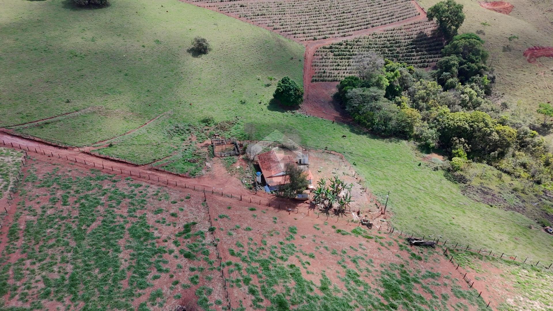 Fazenda, 5 hectares - Foto 2