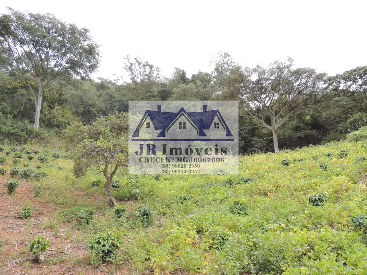 Terreno à venda com 21237m² de terreno no Pinheirinho, Itajubá (MG) — foto 3 de 30
