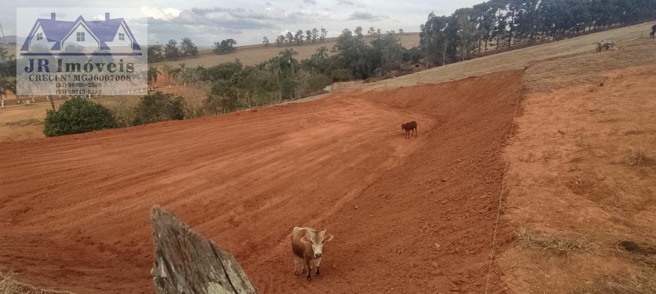 Terreno à venda com 1009m² de terreno no Forros, São José do Alegre (MG) — foto 6 de 7