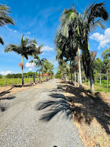 Sítio em Gramadinho  -  Itapetininga