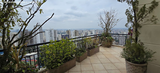 Foto 06