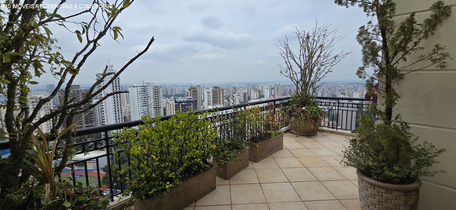 Foto 06
