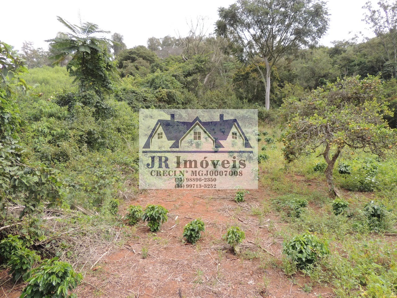 Terreno à venda com 21237m² de terreno no Pinheirinho, Itajubá (MG) — foto 6 de 30