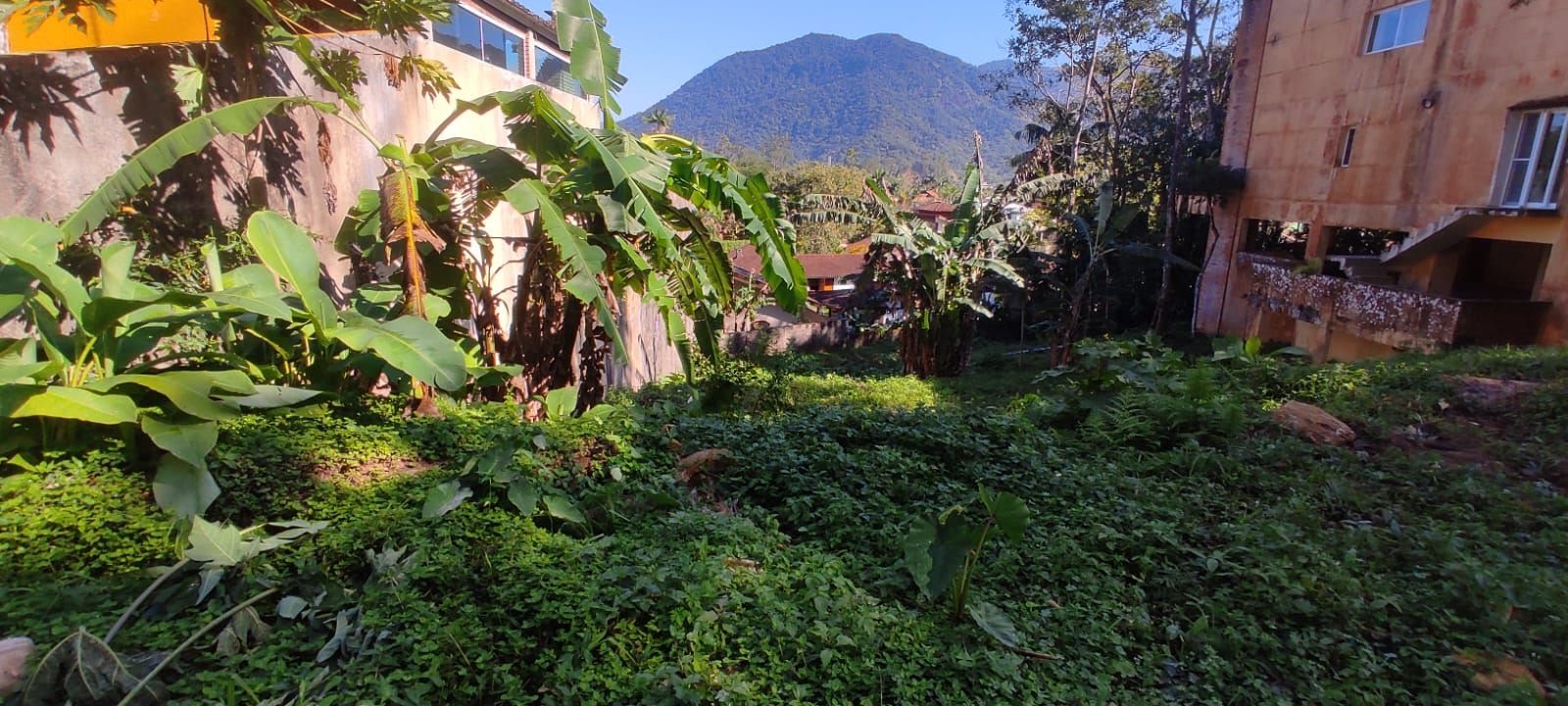 Terreno à venda com 600m² de terreno no Lagoinha, Ubatuba (SP) — foto 7 de 8