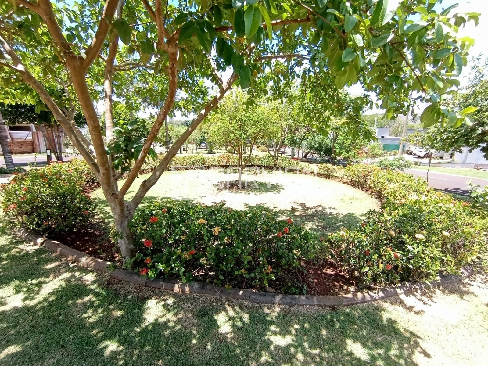 Terreno à venda com 317m² de terreno no Bonfim Paulista, Ribeirão Preto (SP) — foto 6 de 17