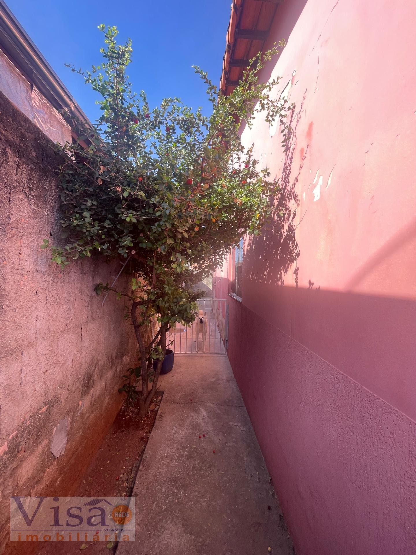 Casa à venda com 3 quartos, 1 banheiro, 2 vagas e 120m² no B. Primavera, Paracatu (MG) — foto 6 de 16