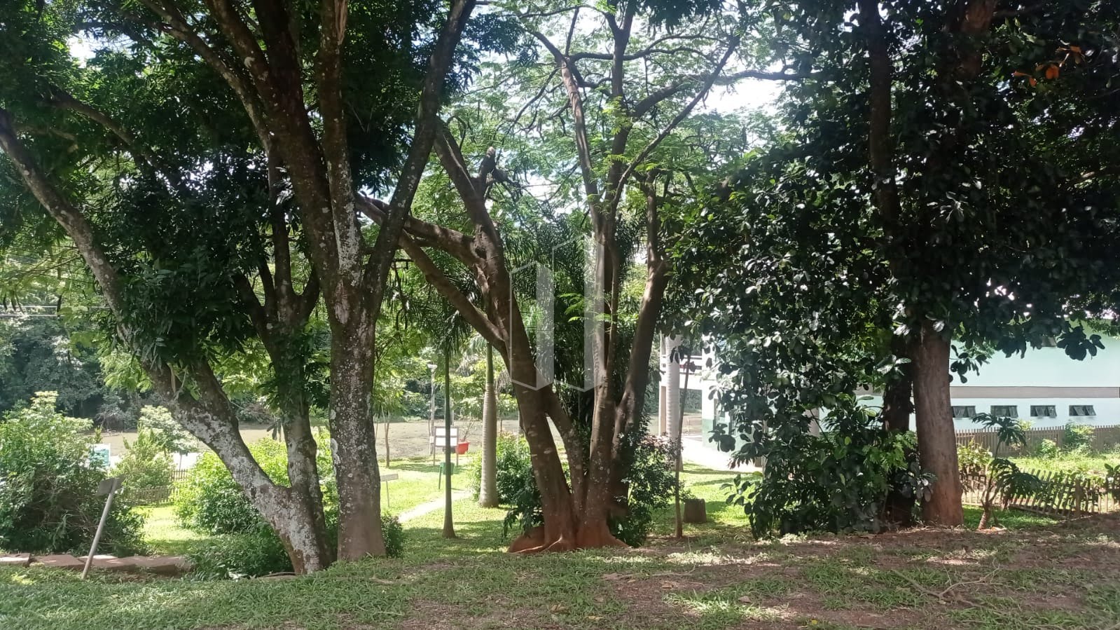Terreno à venda com 420m² de terreno no Setor Pedro Ludovico, Goiânia (GO) — foto 10 de 11