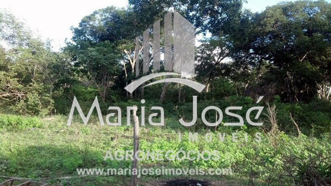 Rural à venda com 1596m² de terreno no Zona Rural de São Francisco, São Francisco (SP) — foto 7 de 17