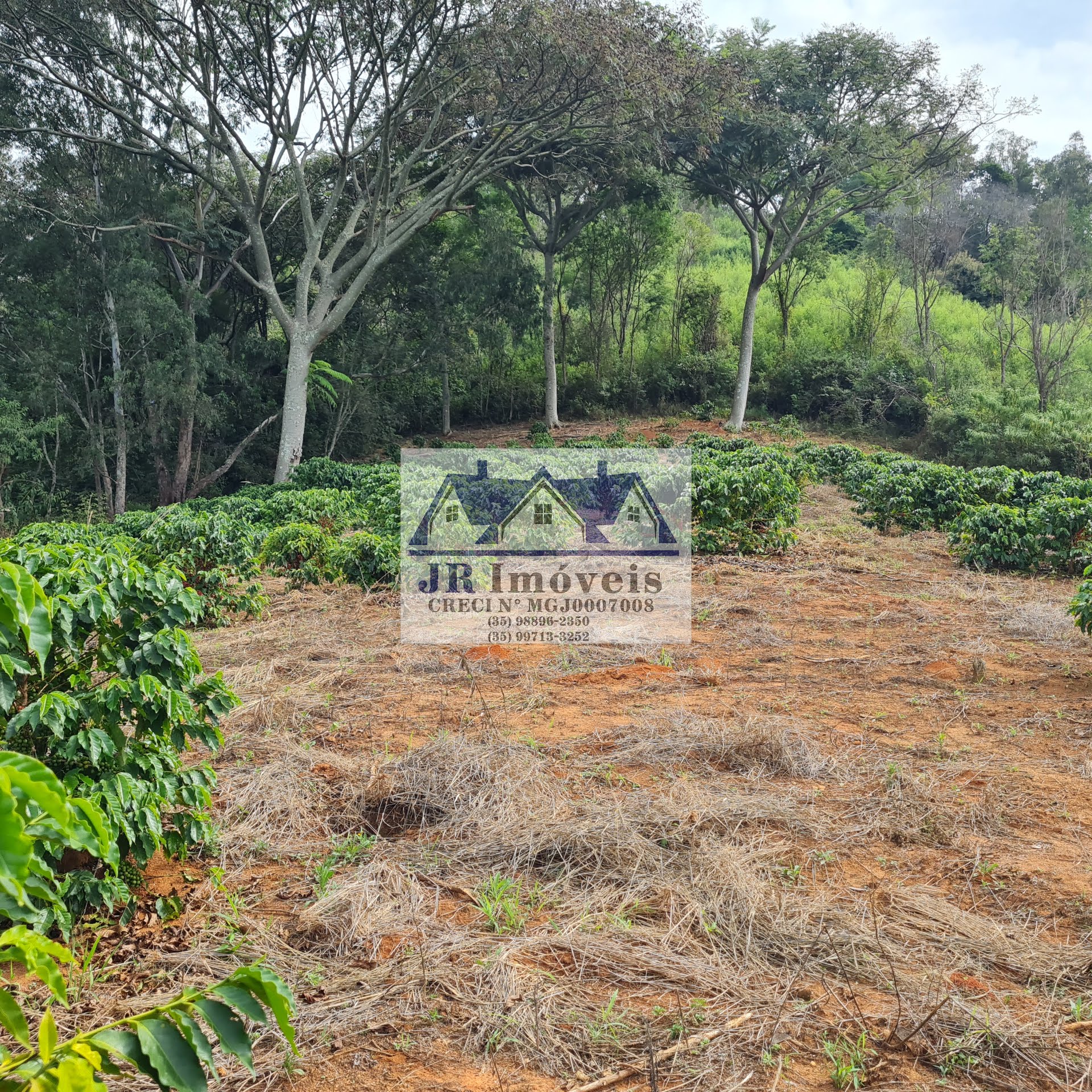 Terreno à venda com 21237m² de terreno no Pinheirinho, Itajubá (MG) — foto 25 de 30