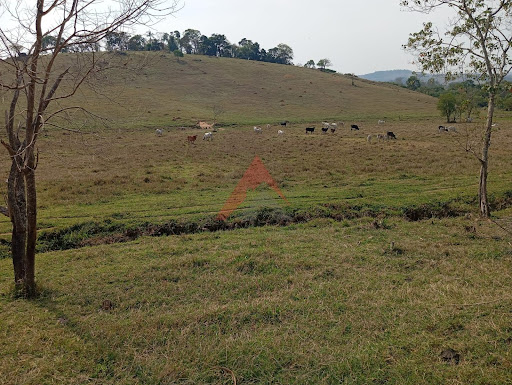 Sítio em Monte Sião/MG