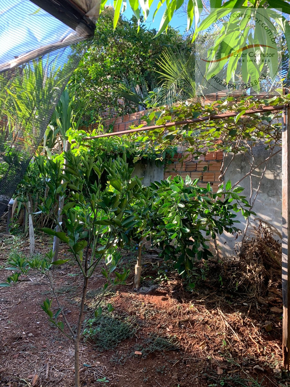 Casa à venda com 3 quartos, 2 banheiros, 1 vaga e 175m² no Tiarajú, Ijuí (RS) — foto 6 de 28