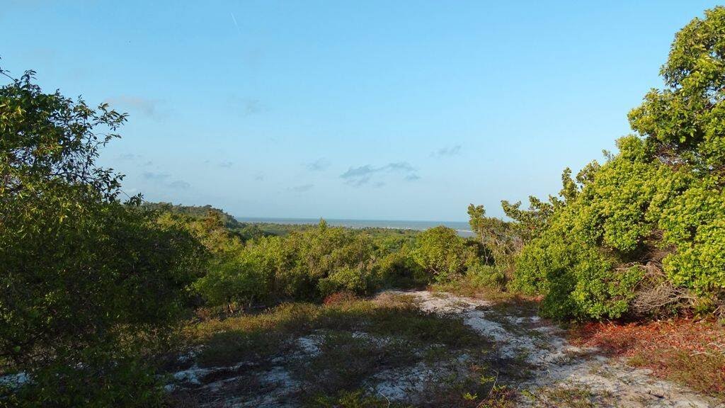 Terreno à venda com 100m² de terreno no Trancoso, Porto Seguro — foto principal