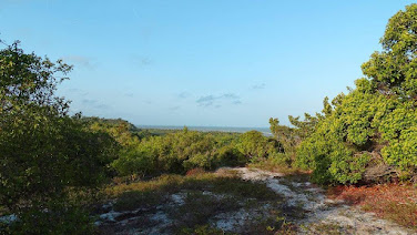 Terreno Área em Trancoso  -  Porto Seguro