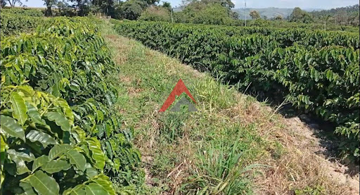 Sítio produtivo em Lavras/MG