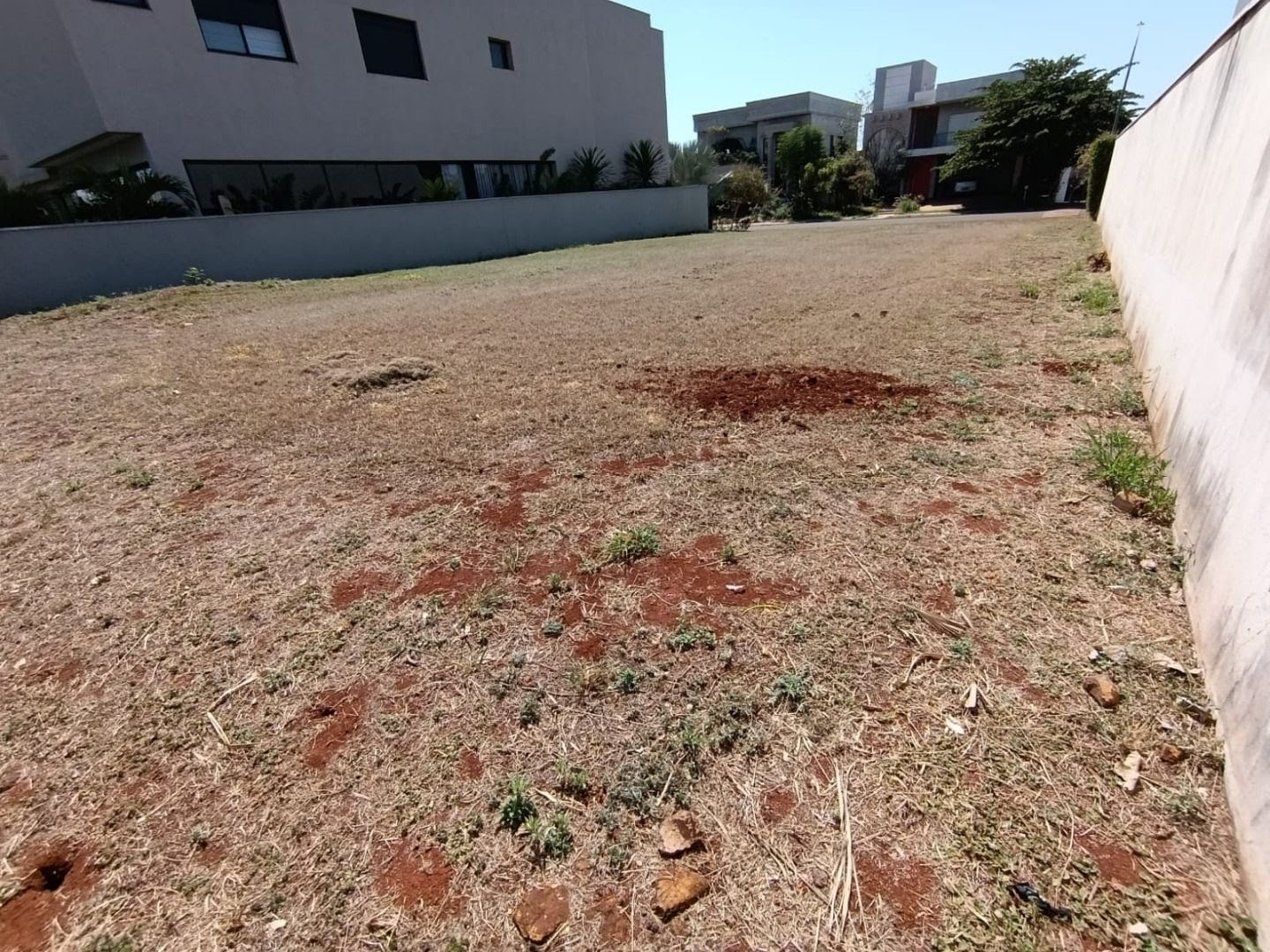 Terreno à venda com 487m² de terreno no Residencial e Empresarial Alphaville, Ribeirão Preto (SP) — foto 5 de 9