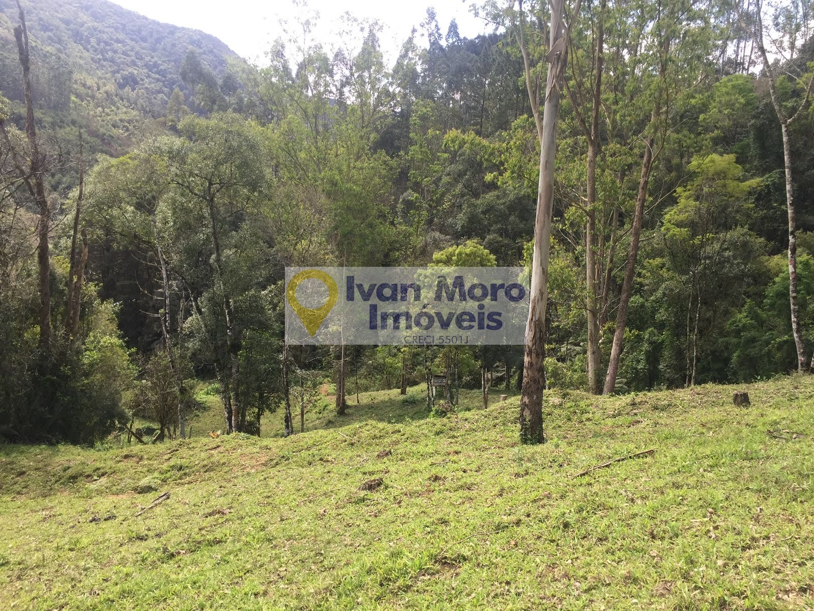 Rural à venda com 150000m² de terreno no Rio Braço do Norte, Anitápolis (SC) — foto 2 de 10