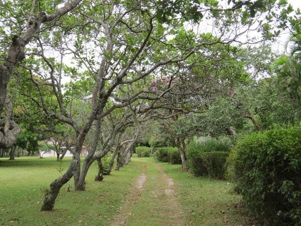 Rural à venda com 45000m² de terreno no Vargem Pequena, Florianópolis (SC) — foto 28 de 28