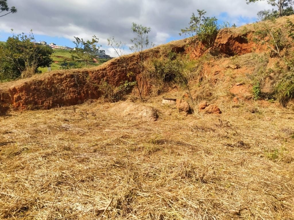 Terreno à venda com 1025m² de terreno no Parque Santa Teresa, Santa Isabel (SP) — foto 11 de 14