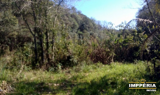 Foto 02