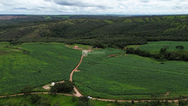 Fazenda em Setor Central  -  Catalão
