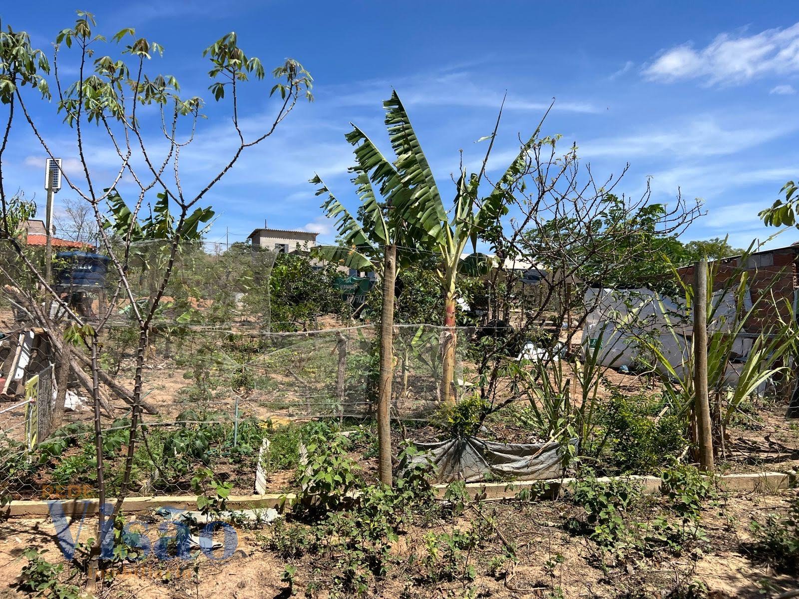 Rural à venda com 3000m² de terreno no Ponte Queimada, Paracatu (MG) — foto 3 de 13