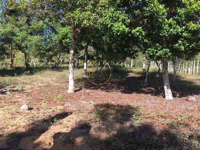 Terreno à venda com 210000m² de terreno no Trancoso, Porto Seguro (BA) — foto 17 de 18