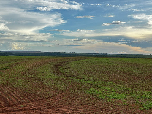 Fazenda em Zona Rural  -  Campo Grande