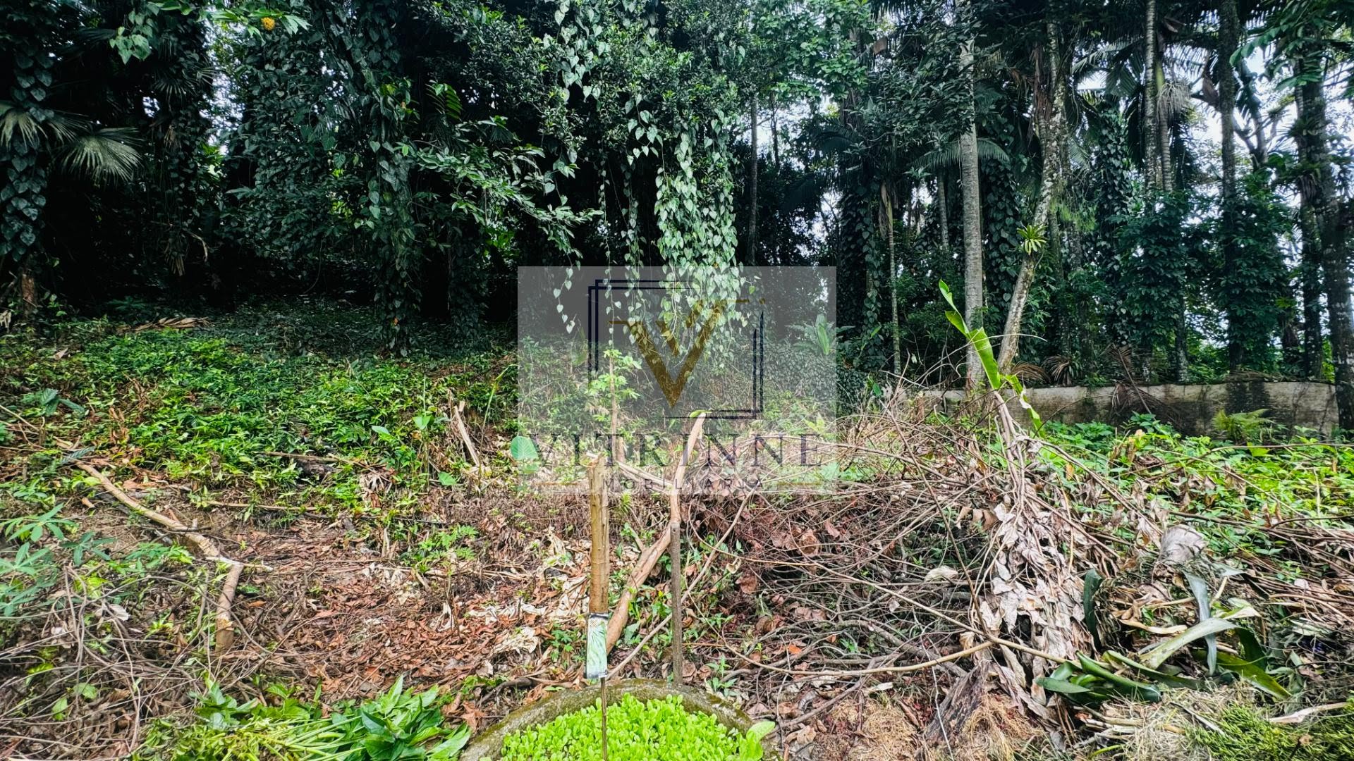 Terreno à venda com 1167m² de terreno no América, Joinville (SC) — foto 8 de 18