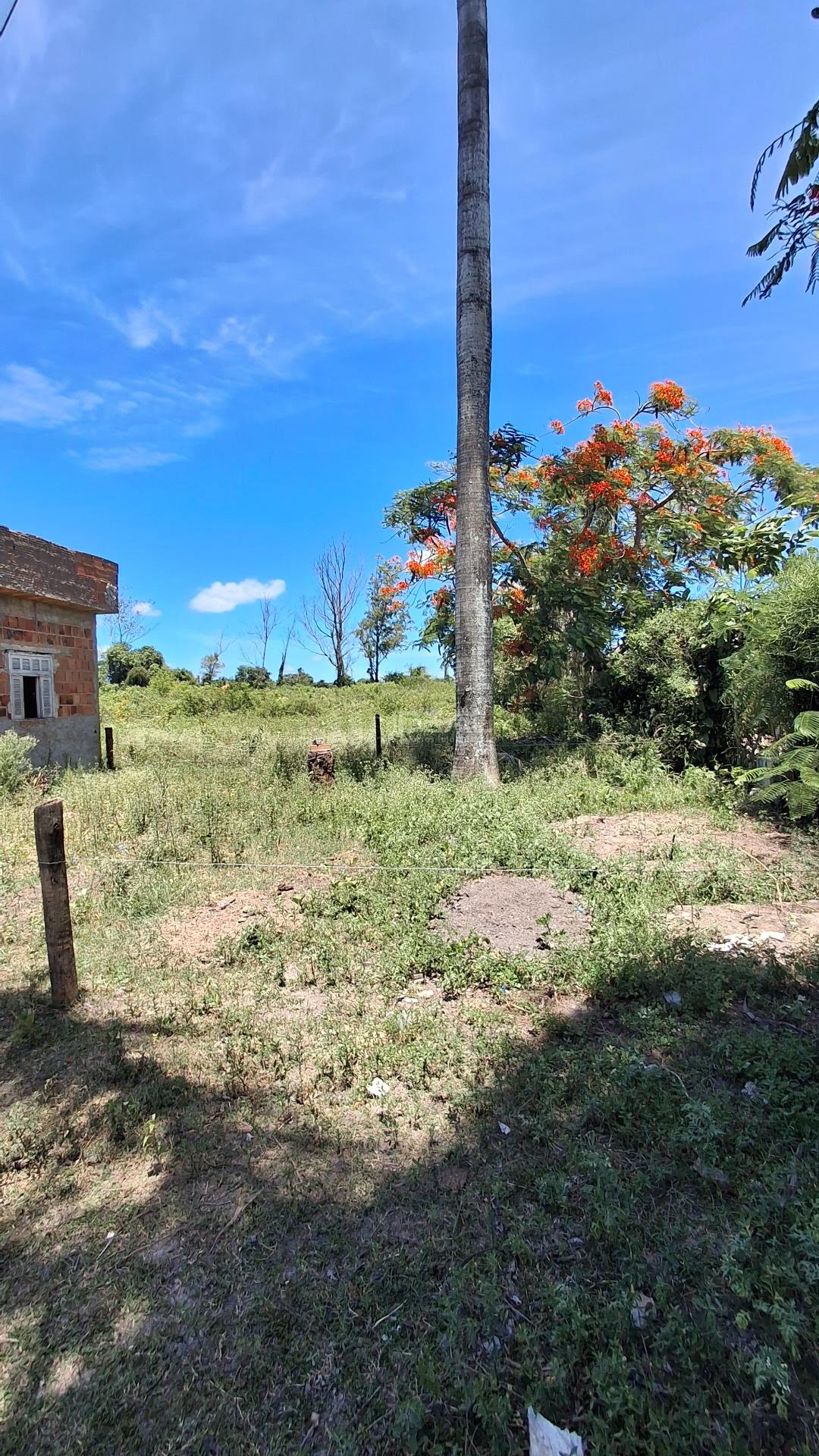 Rural à venda com 33000m² de terreno no Vila Manhães, Campos dos Goytacazes (RJ) — foto 3 de 10