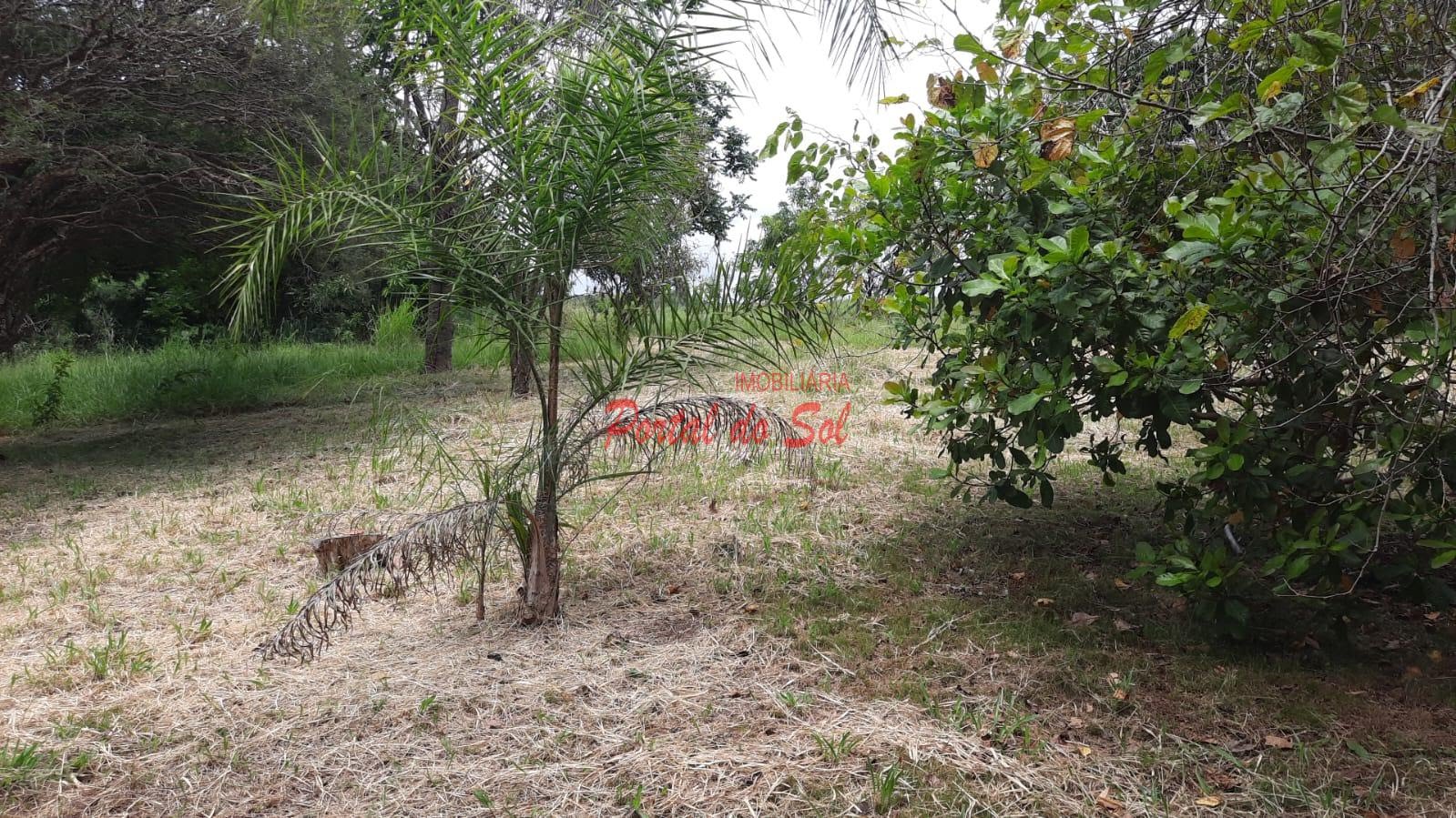 Rural à venda com 75000m² de terreno no Bairro Guimarães Carneiro, Santo Antônio da Platina (PR) — foto 22 de 27