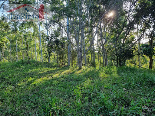 Terreno Condomínio no Bairro Rio Preto  -  Santo Antônio do Pinhal