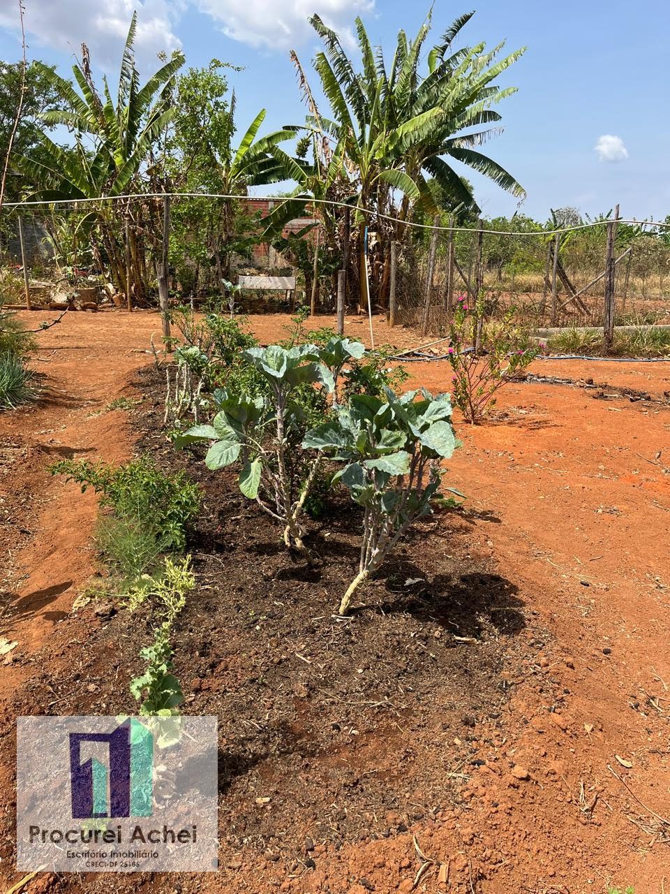 Rural à venda com 5000m² de terreno no Rajadunha I, Brasília (DF) — foto 12 de 21