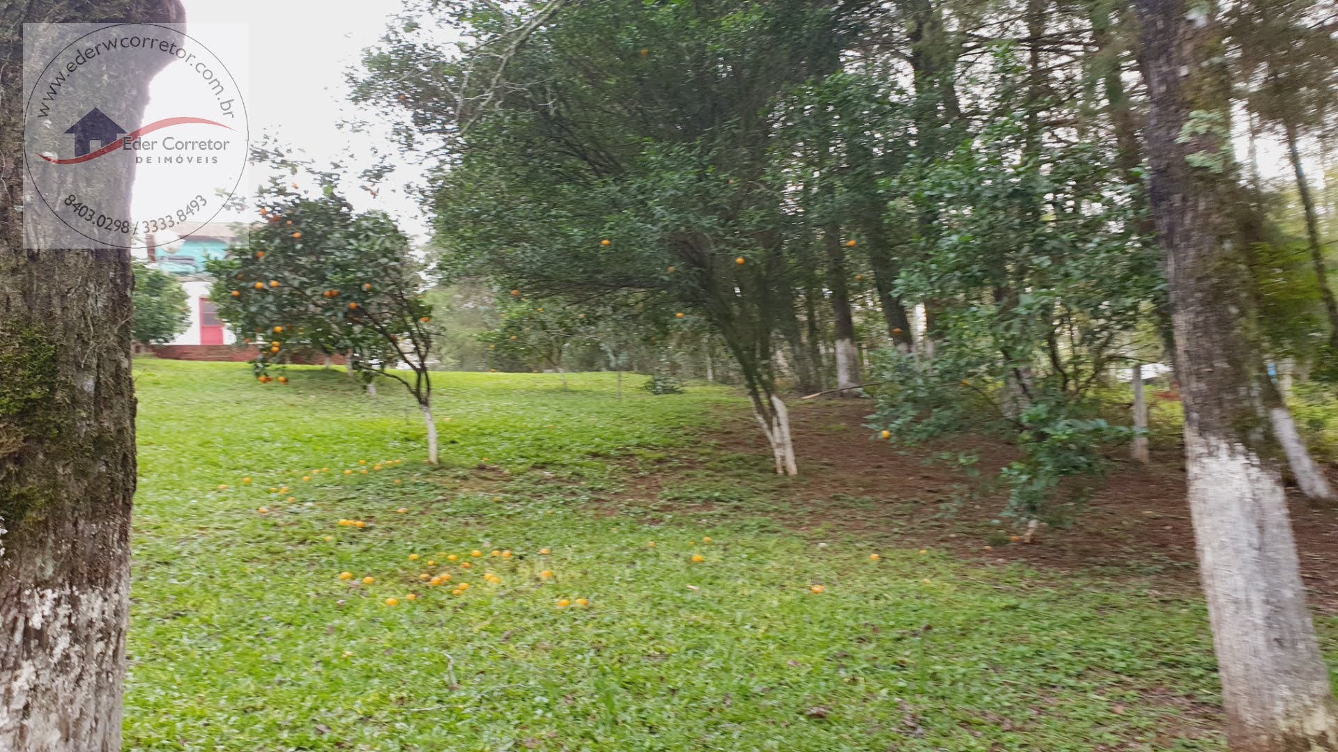 Rural à venda com 3200m² de terreno no Interior, Ijuí (RS) — foto 9 de 16