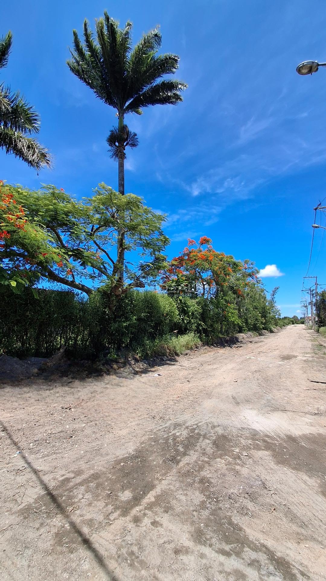 Rural à venda com 33000m² de terreno no Vila Manhães, Campos dos Goytacazes (RJ) — foto 2 de 10