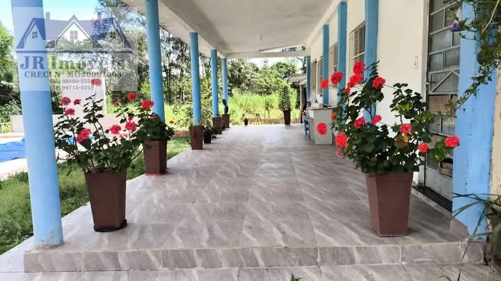 Rural à venda com 8200m² de terreno no Balaio, Santa Rita do Sapucaí (MG) — foto 11 de 16