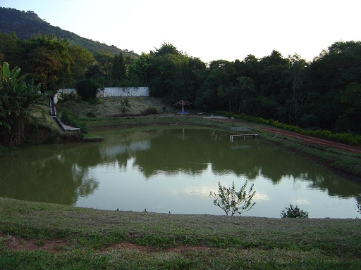 LAGO 1