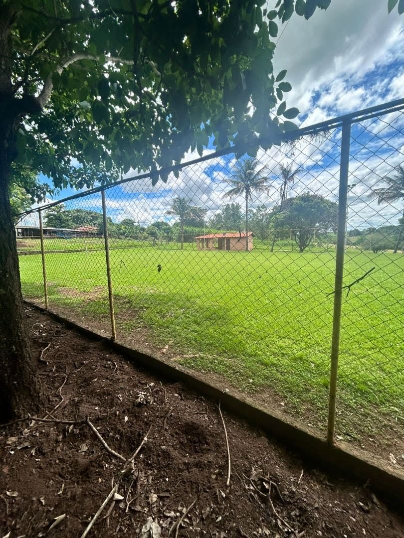 Rural à venda com 20000m² de terreno no Zona Rural, Mirassol (SP) — foto 4 de 27