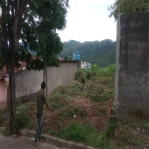 Foto 01